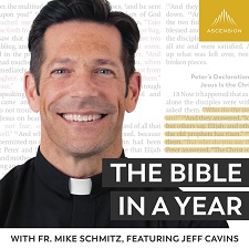 The Bible in a Year podcast thumbnail. Features a headshot of Fr. Mike Schmitz, its host