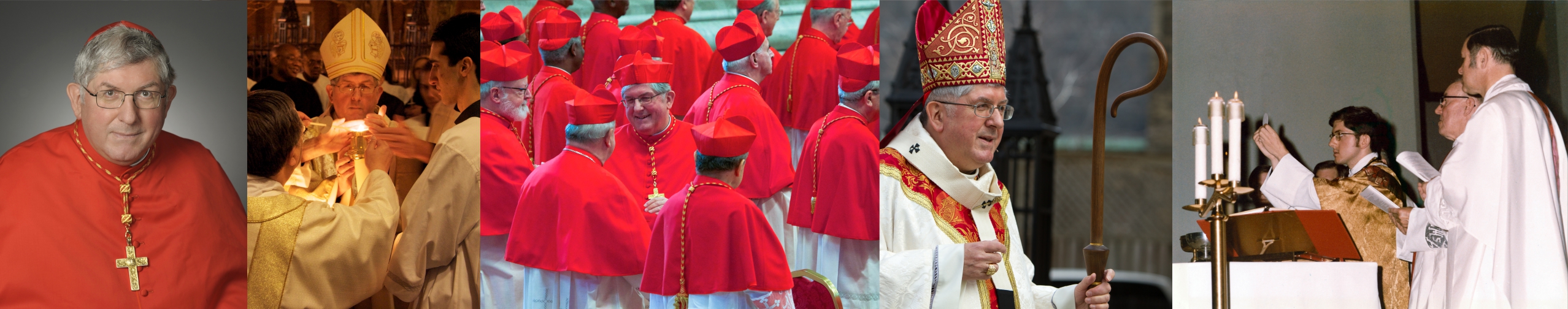 Cardinal Collins Page Banner